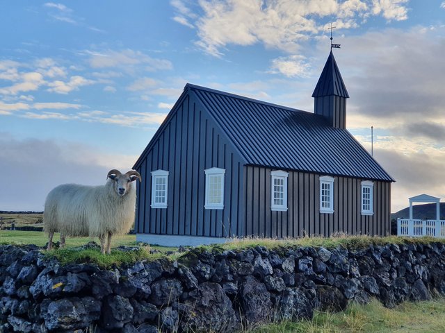 DIA 7: DE REYKJAVIK A LA PENINSULA DE SNAEFELLSNES (HELLNAR) - Islandia en tiempos de Covid. Y con Camper! (12)