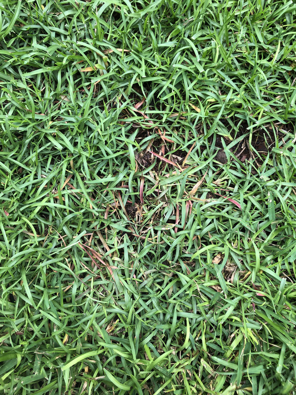 B1D75095-6F6B-45F8-8B7E-A73EE5E4D1F0