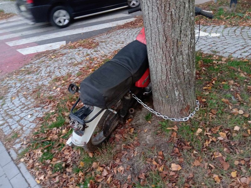 e4b7d9bd-b68c-477d-bc30-fe7a0970c30d