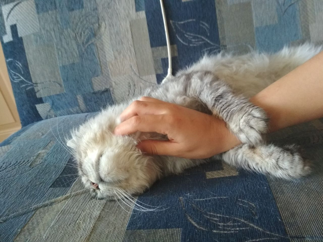 10643E2D-BE35-4768-B04B-7865ED7AC67B