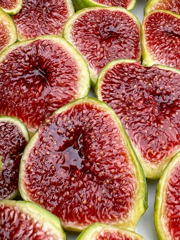 figs-924.jpg