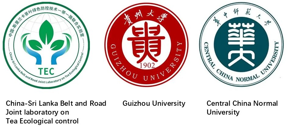 Belt & Road Logo