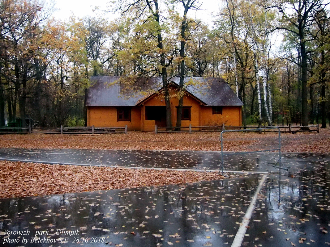 Воронеж, осень, парк