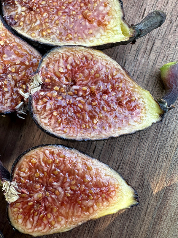 figs-55.jpg
