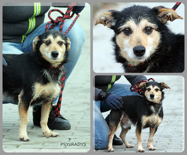 BeFunky-collage (15)