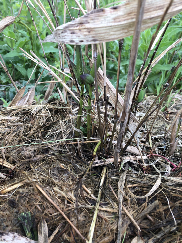 84BB3357-327A-4360-8AA8-8BA901E388C3