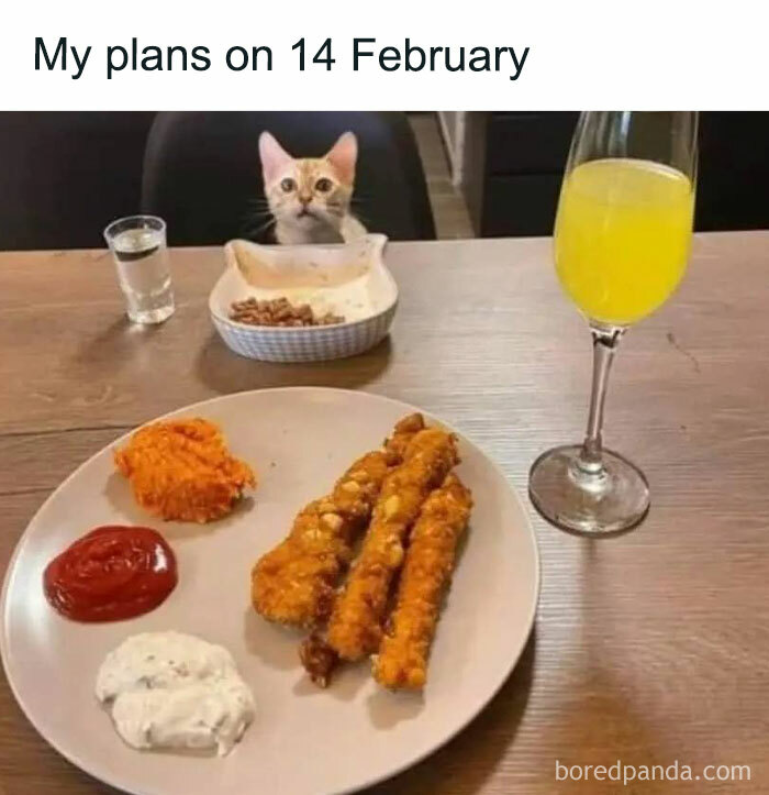 BPcats-doing-cat-stuff-memes19-67aa0a8cd0379-700.jpg