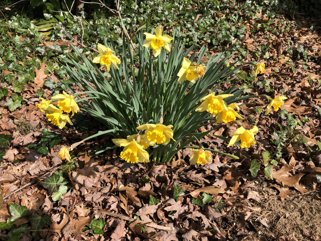 68689952-961B-4998-89D6-8B634845FE1D