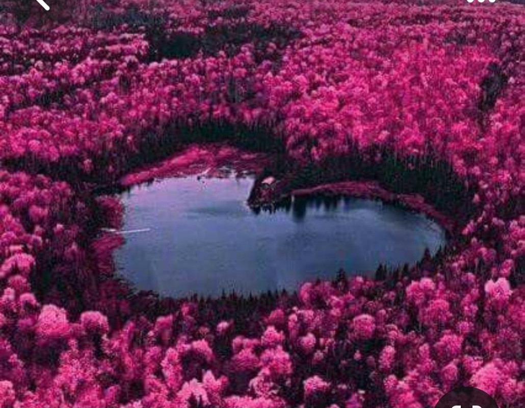 Screenshot_20240212_005154_Pinterest