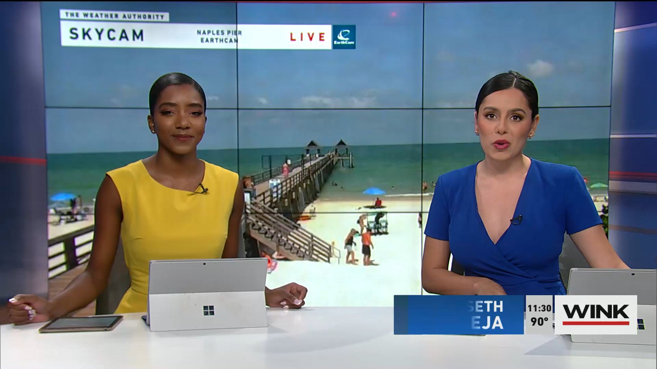 07.23 - 16.30.00 - WINK NEWS at 11 30am. Midday news..ts_snapshot_07.08.708