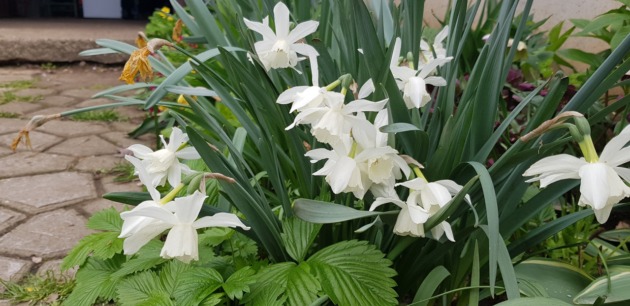 20190420_151626