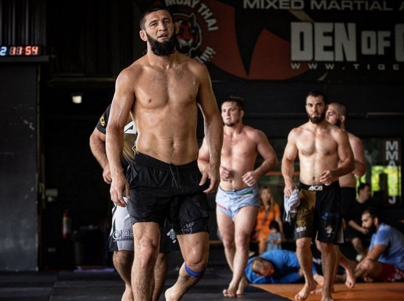 Хамзат Чимаев: Нямам информация за битка с мое участие! — MMA.BG