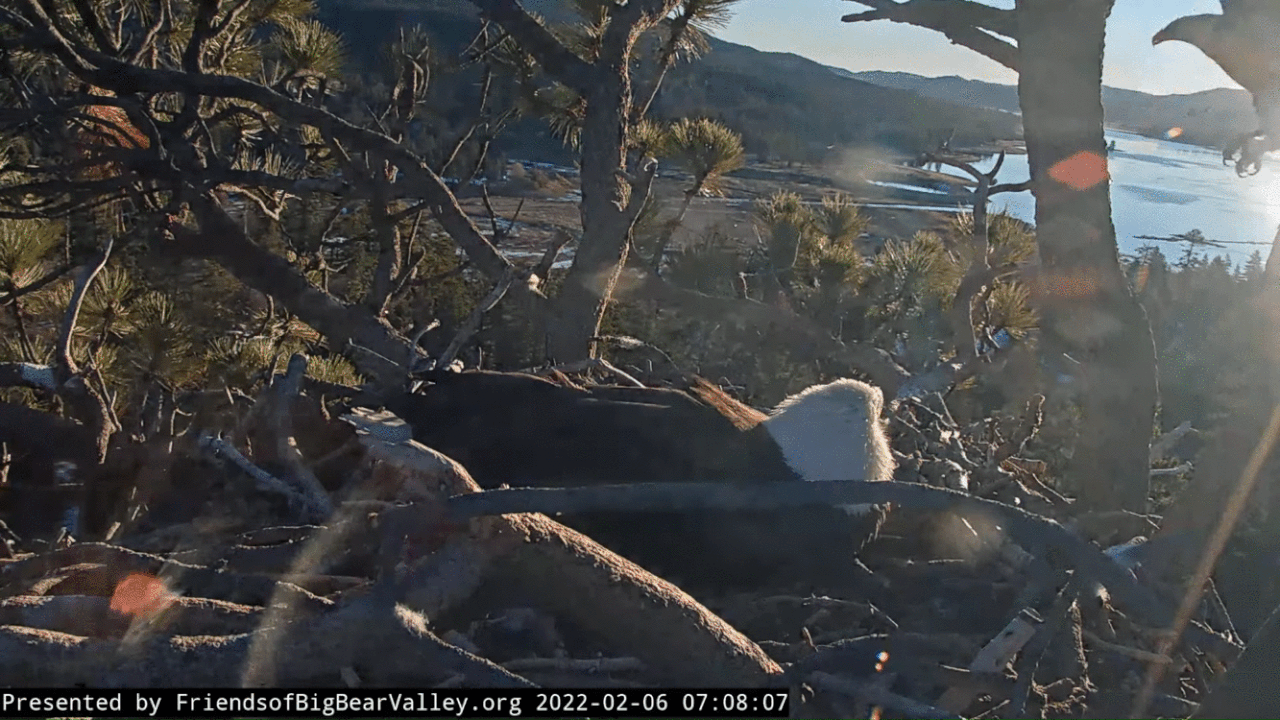 Webp.net-gifmaker (3)