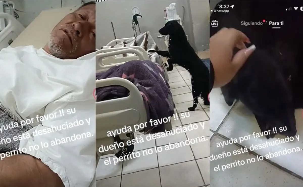Abuelito en su lecho de muerte suplica que alguien amoroso adopte a su perrito (Video)