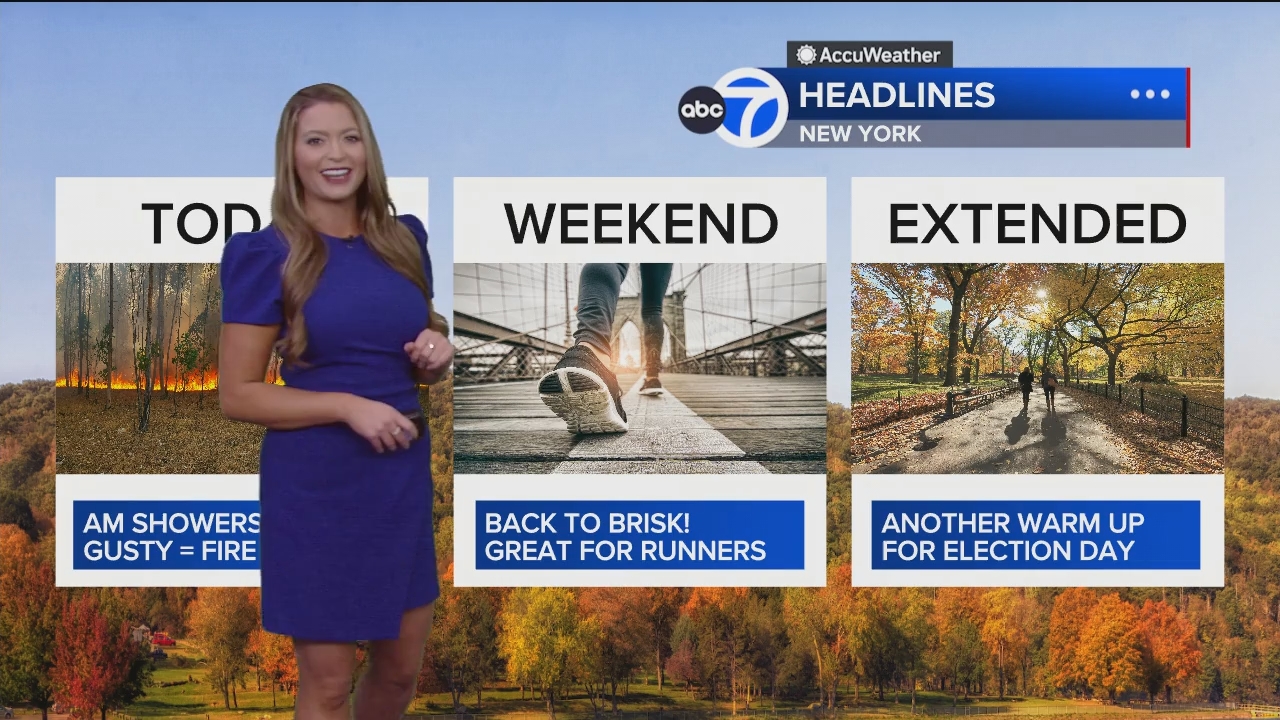 Eyewitness News Mornings at 10_20241101_14001500.ts_snapshot_17.36.362