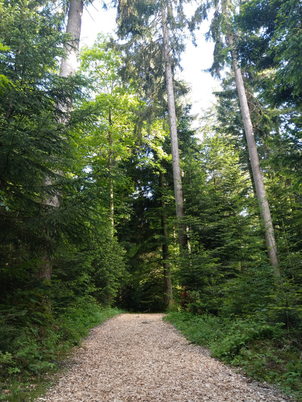 A5B30AA3-2A9B-4E17-B0A6-BCD7CC01B47A