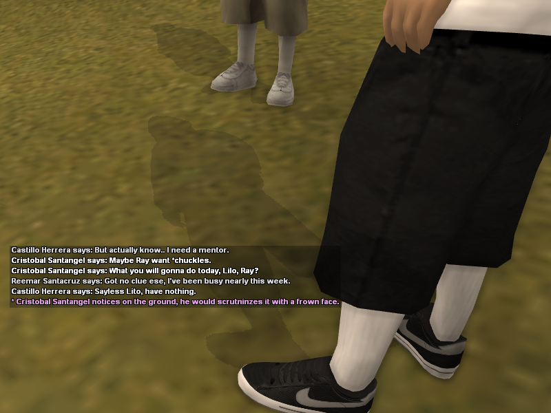 SS3.png