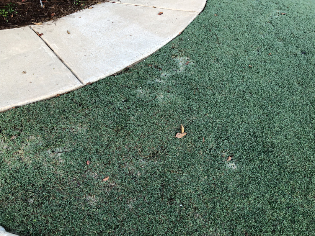 098A94F4-E42D-41E5-A140-78346A471766