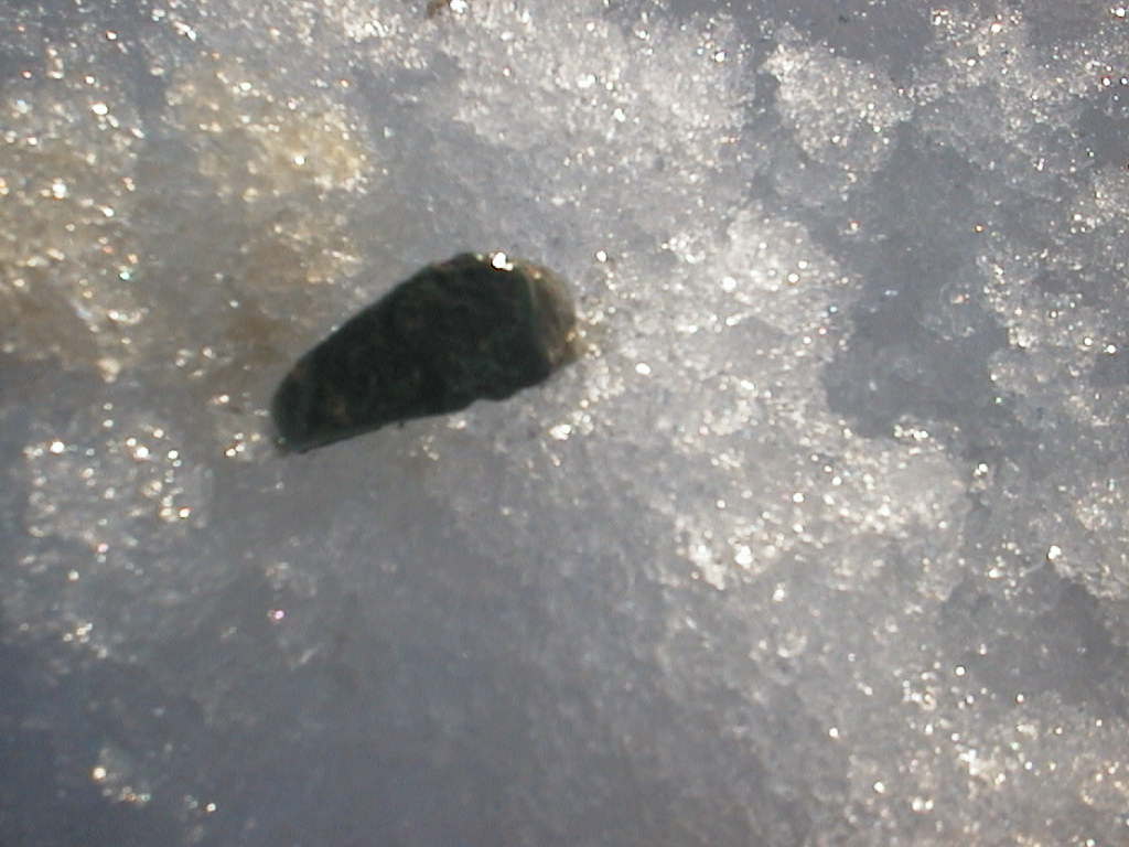 päivänlöydöt15.03.2016 016