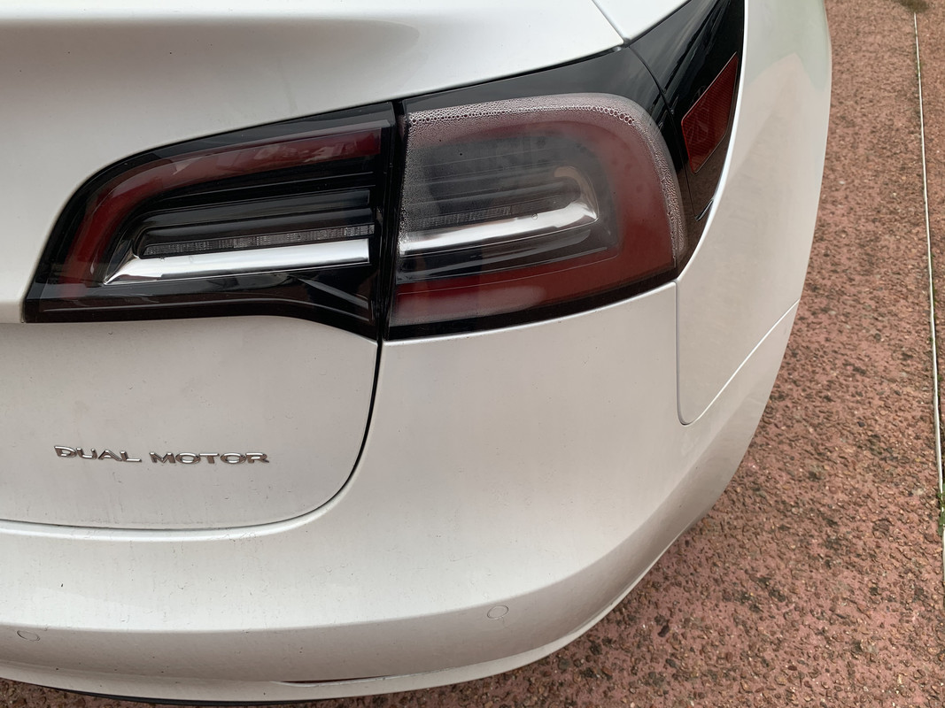 E019E23D-F9B5-4B68-96A2-07C992010740