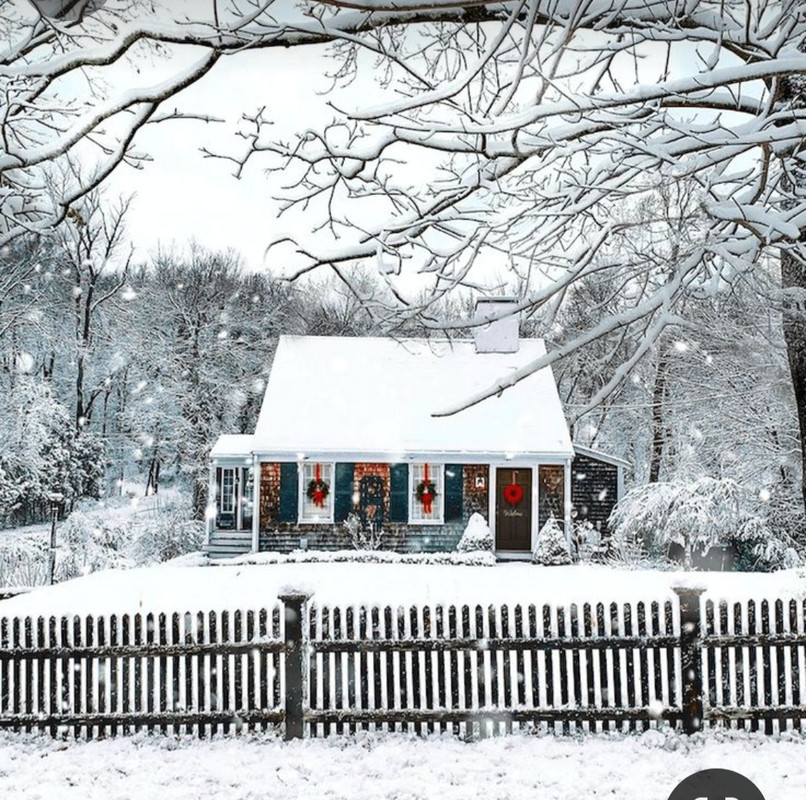 Screenshot_20231119_182052_Pinterest