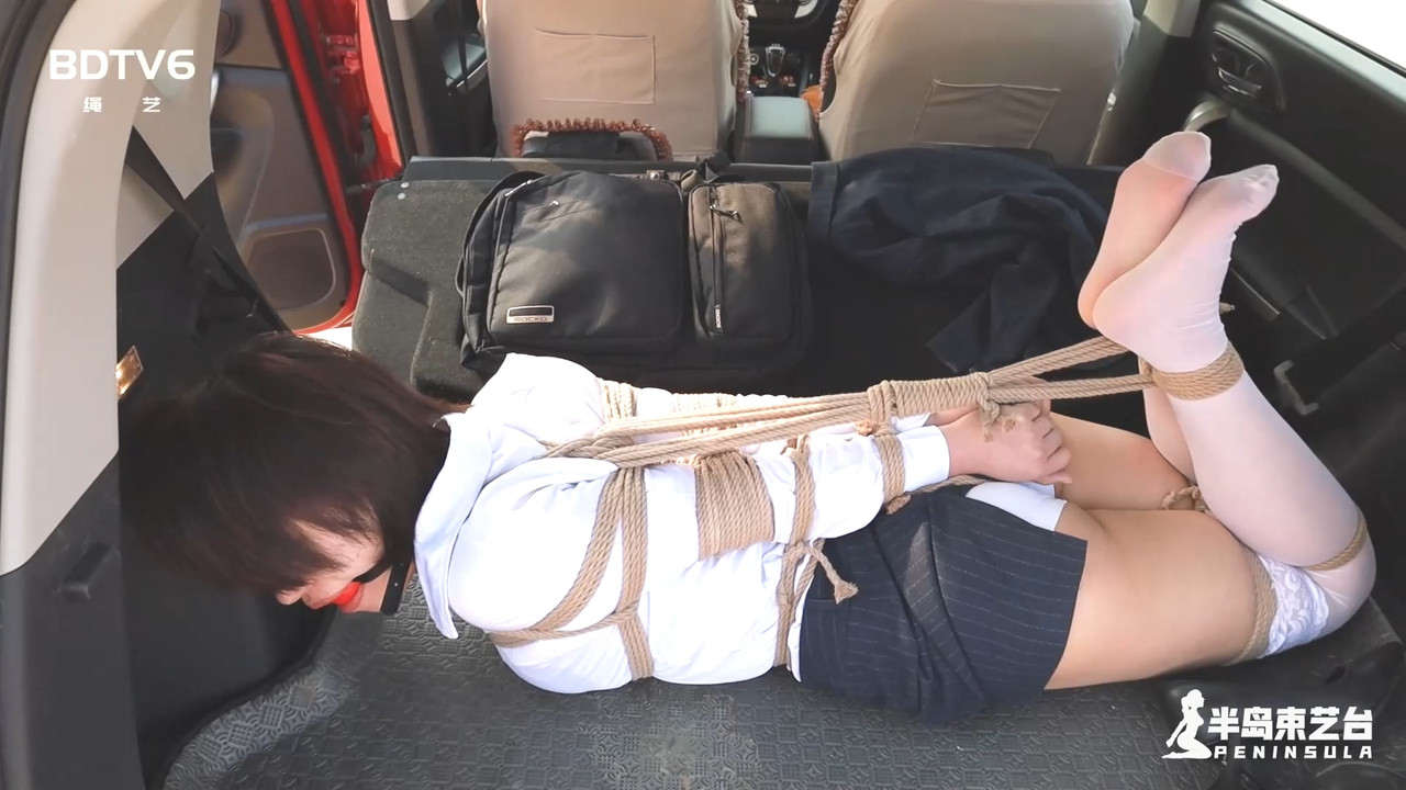 半岛束艺 定拍不耐烦的司机 海语 苏心.mp4_20210423_130512.321