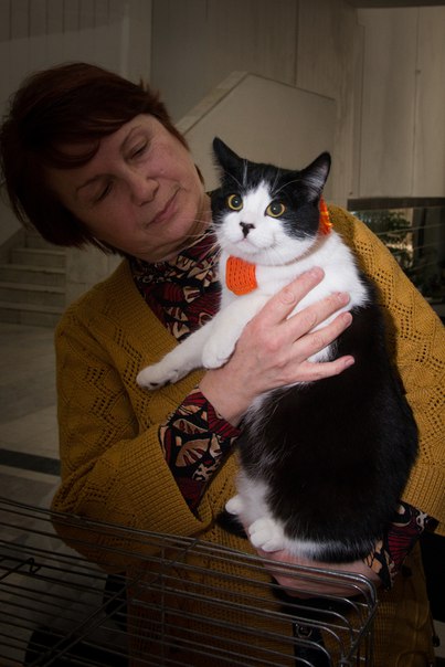 98B2114F-74AA-47AA-9C8E-6999F3366959