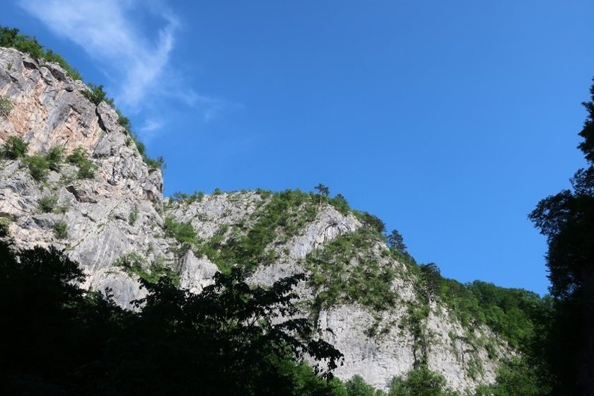Travnik2019