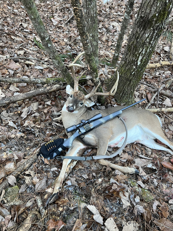 2AAB73CA-7073-43BF-AA7D-997F22D0F1D1