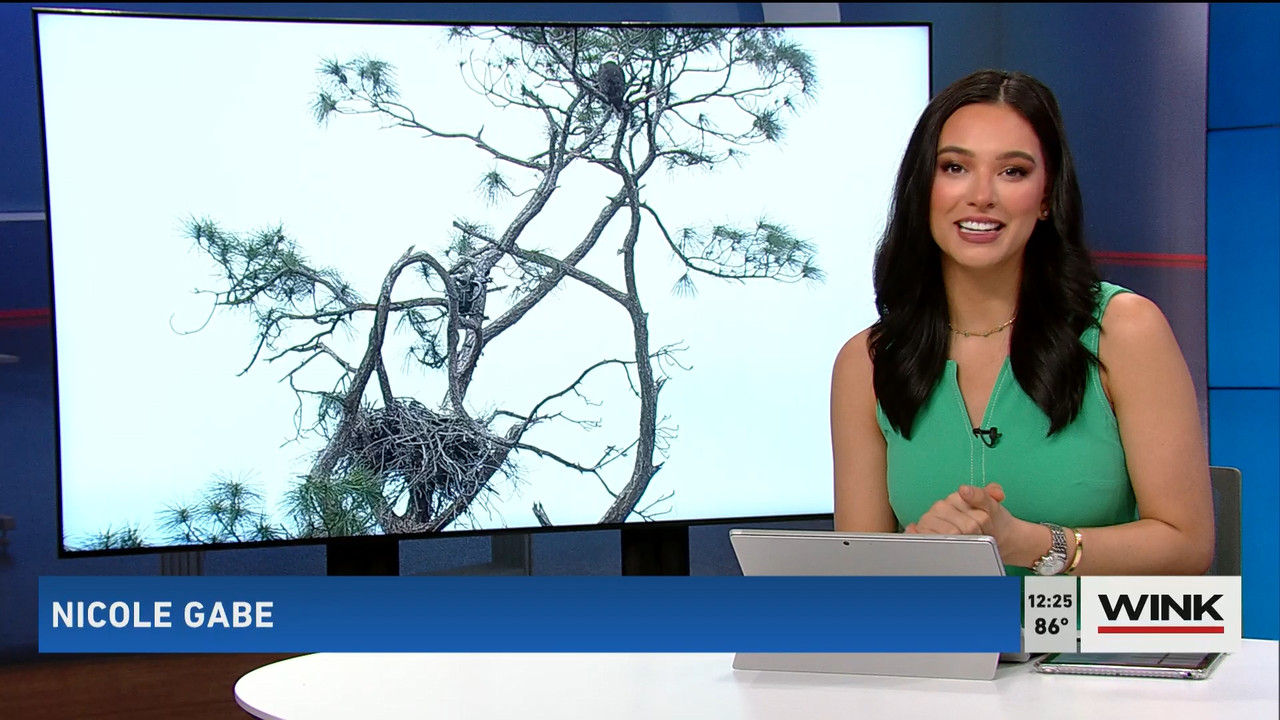 02.24 - 17.00.00 - The WINK Noon News  ᴺᵉʷ. Midday news update..ts_snapshot_31.37.440