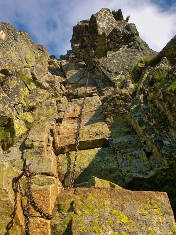 WP_20150725_08_15_18