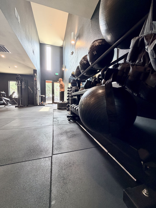 The Vault private gym equipment