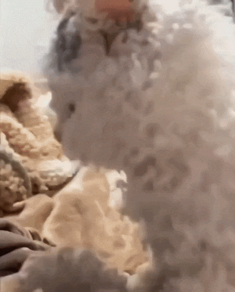 ezgif-228df047915025f2.gif