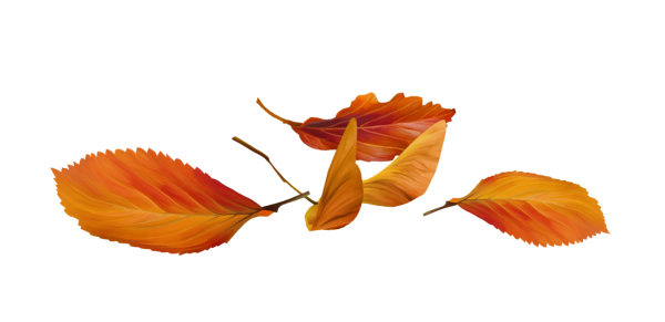 143790048_LMB_Fall_Bounty_Element_31