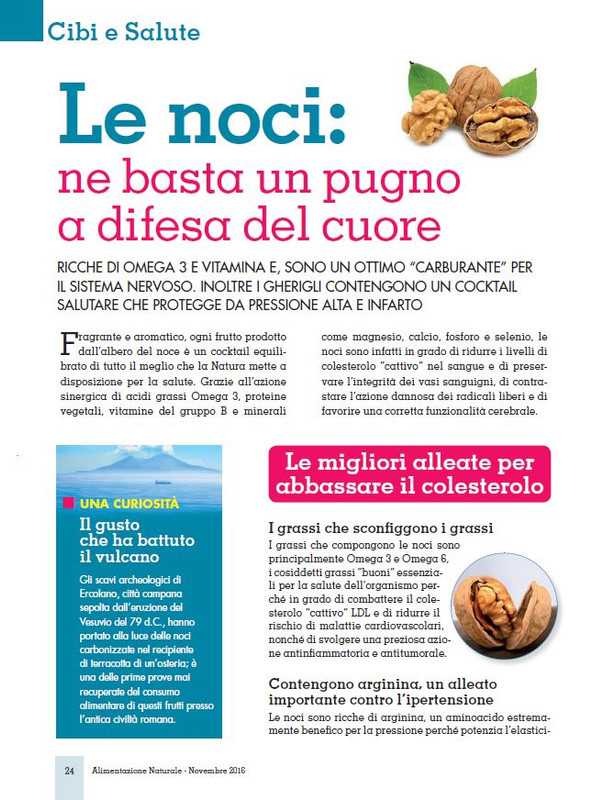 Alim Nat Nov 2016 (3)