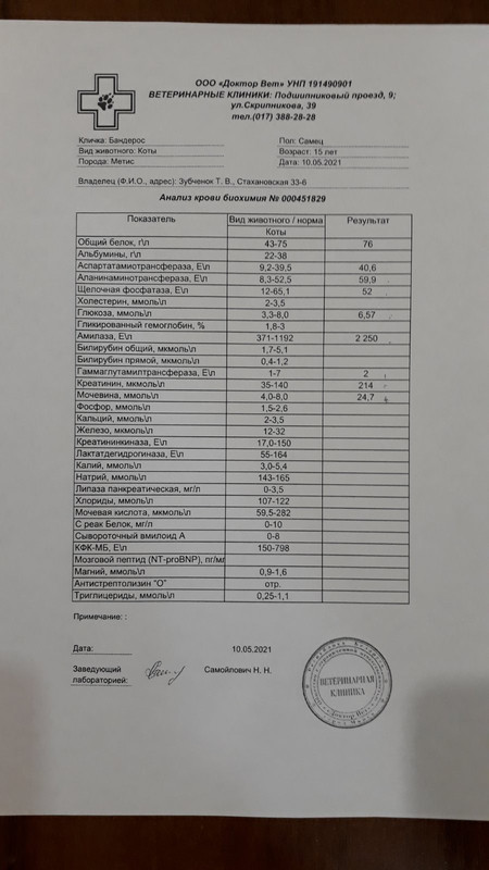 315DB7AA-7B42-4A33-95B5-27868851F8FC