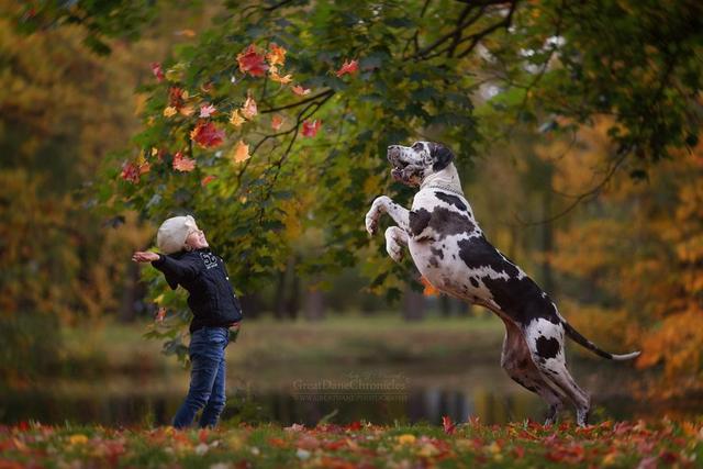 little-kids-big-dogs-photography-andy-seliverstoff-45-584fa961c3