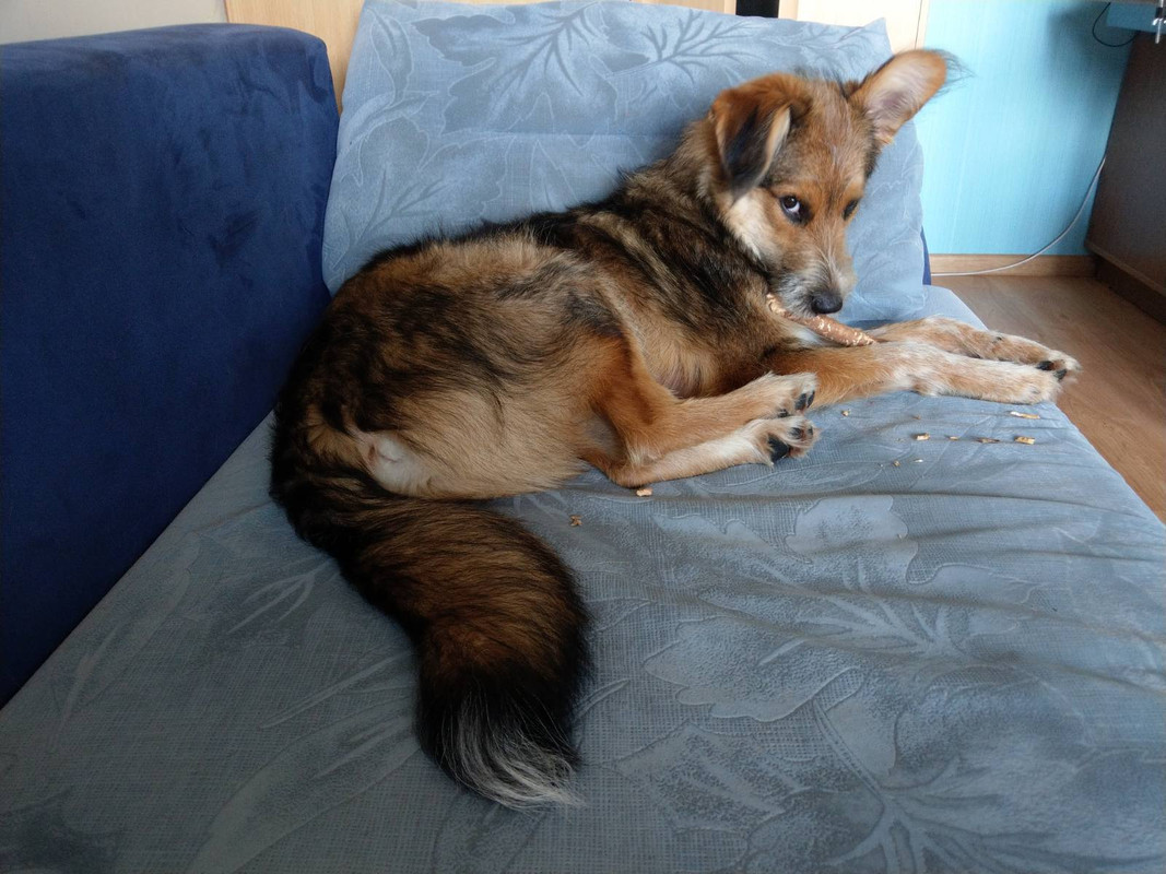 изображение_viber_2020-06-29_17-48-41