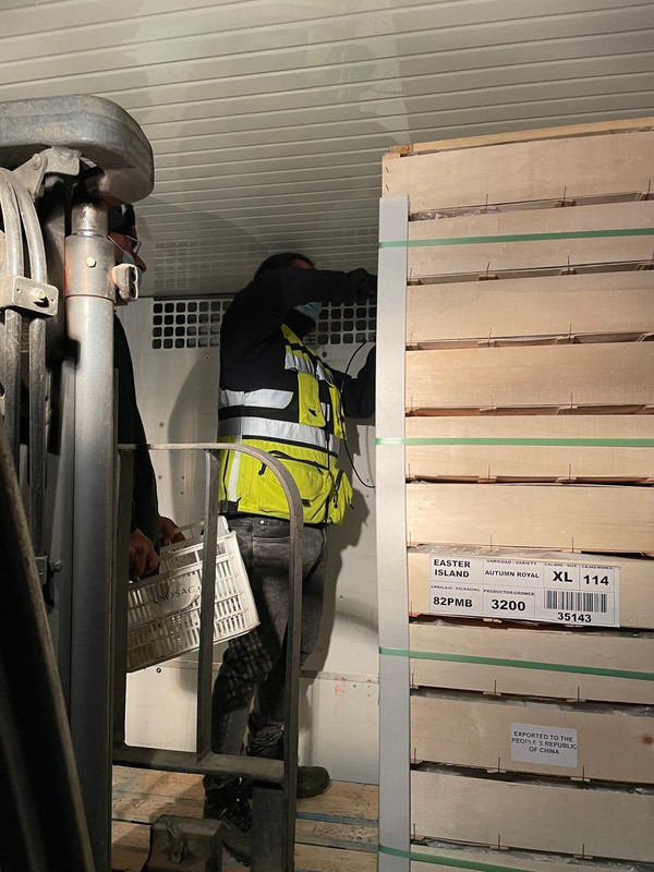 Consolidación contenedores 4