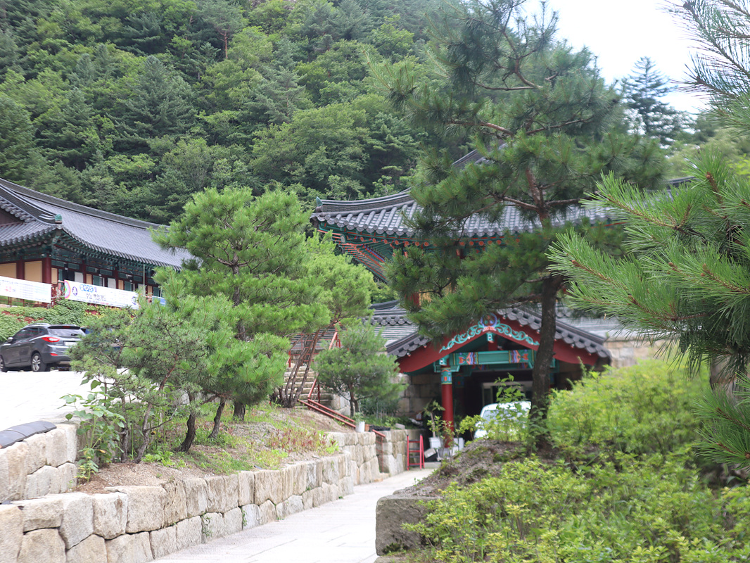 IMG-3228