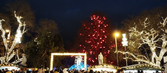 Adios Praga, hola Mercado del Ayuntamiento de Viena y concierto - Viena - Bratislava - Praga, Navidad 2024 (17)