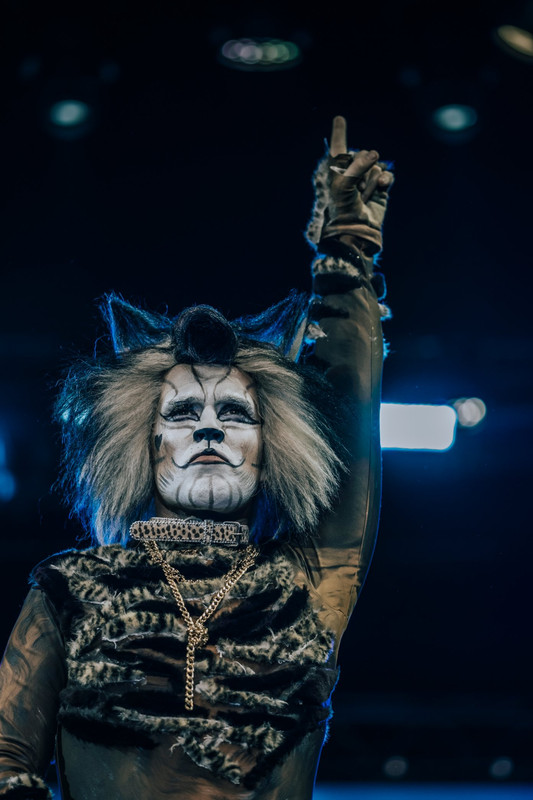 Cats, recensione del musical al Sistina di Roma Cats, recensione del musical al Sistina di Roma