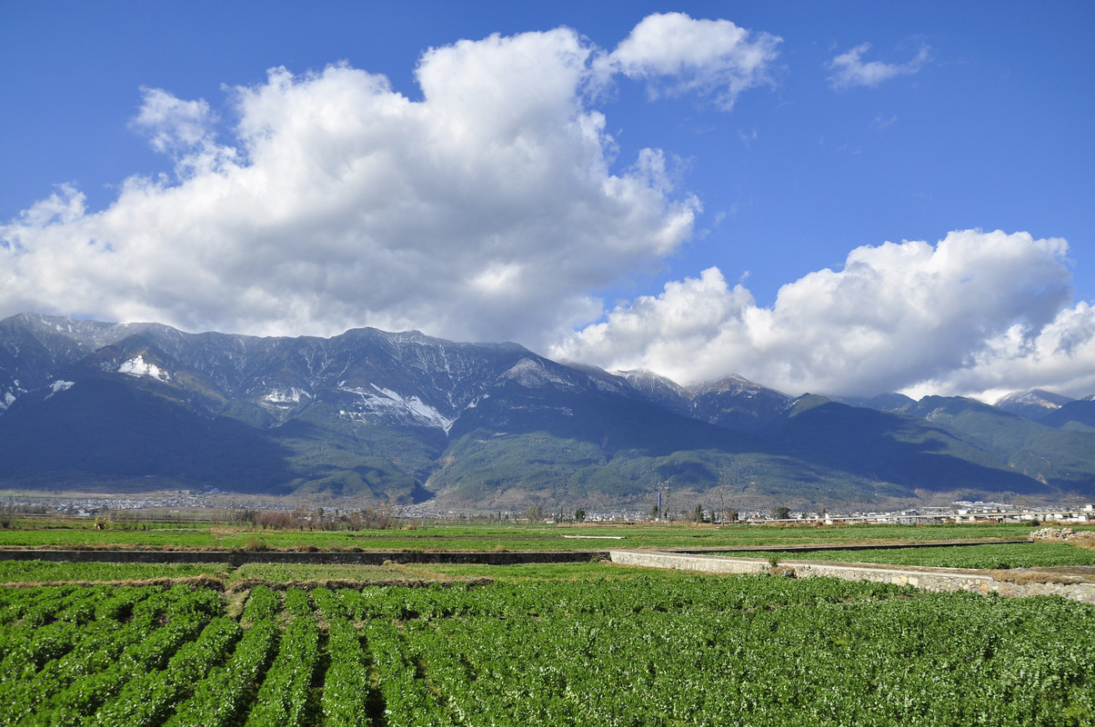 _DSC0889 - Copy (2015_08_13 16_07_04 UTC)