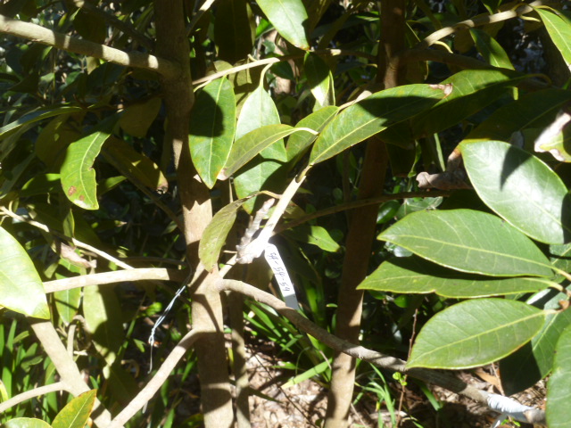 P1050209