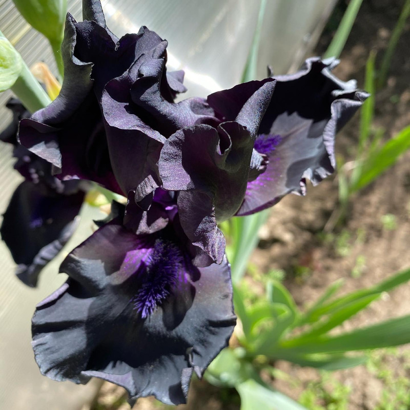 F12366C5-DA07-4E1A-B001-EBDC17794EE8