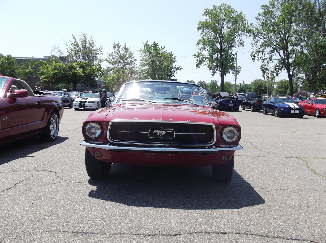 Activité 2023: Bénédiction des Mustang le 28 mai 2023 1967-rouge-9