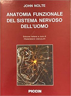 John Nolte – Anatomia funzionale del sistema nervoso dell’uomo (1991)