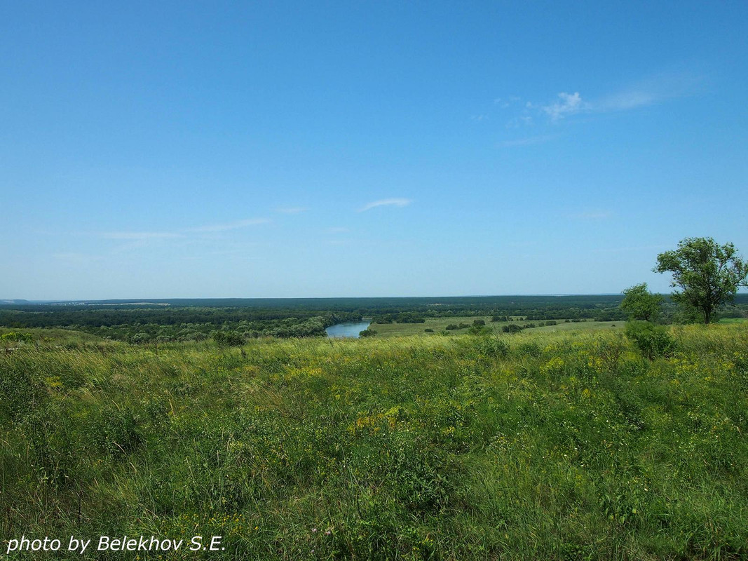 Дивногорье