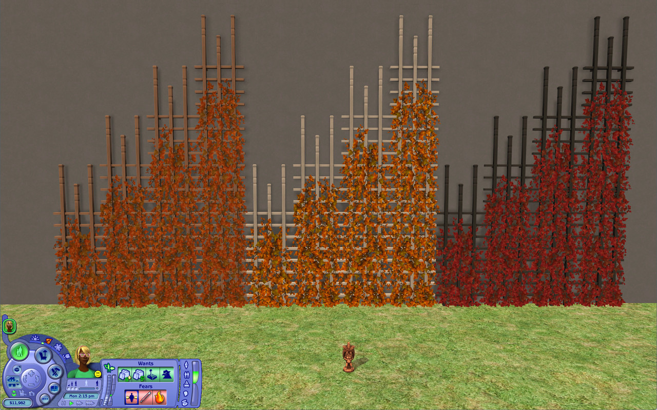 fall