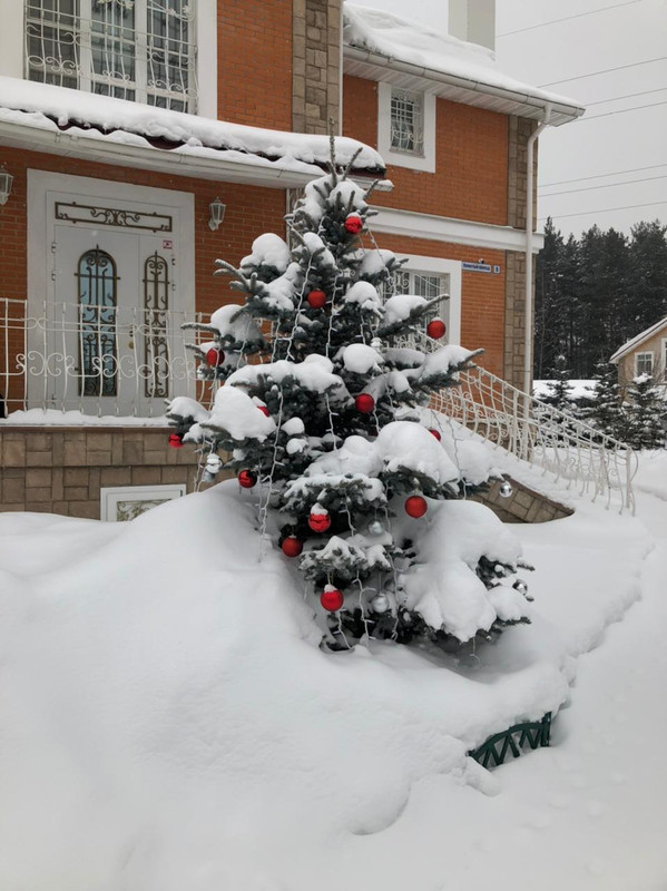 WhatsApp Image 2021-02-21 at 13.35.06 (1)